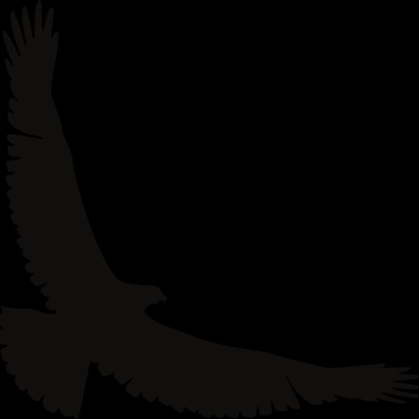 Eagle   Clipart 2 Thumbnail