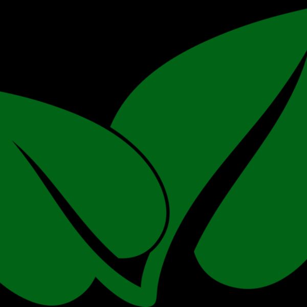 Leaves 2 Thumbnail
