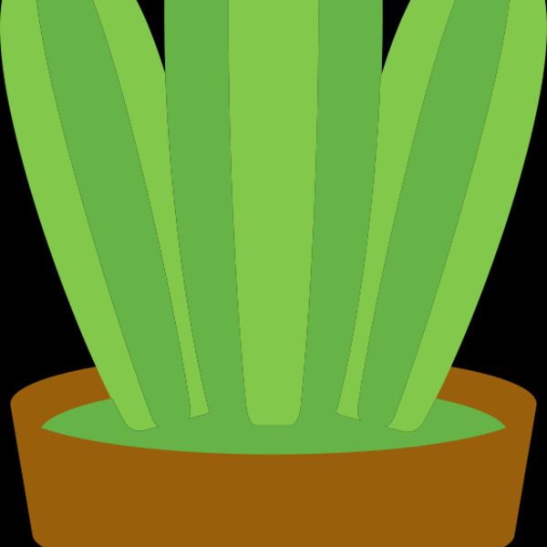 Cactus 1 Thumbnail
