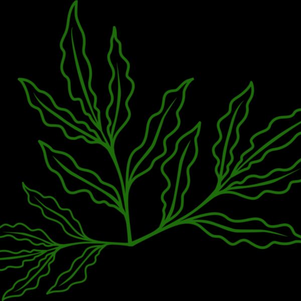 Leaves 7 Thumbnail