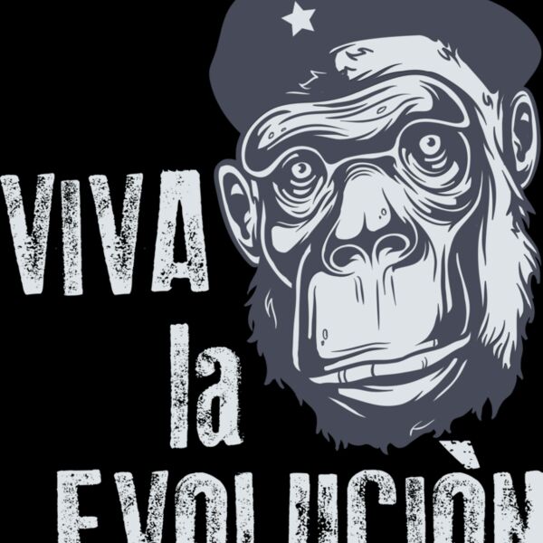 2016 03 14 025 Thumbnail